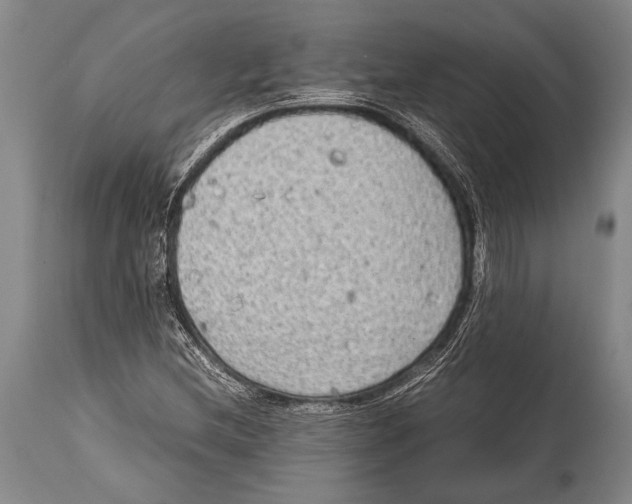 X0000114681212200911181223