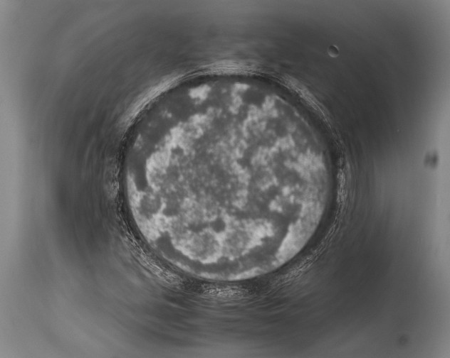 X0000114681213200911181223