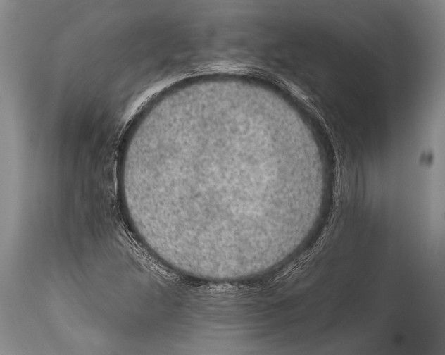 X0000114681214200911181223