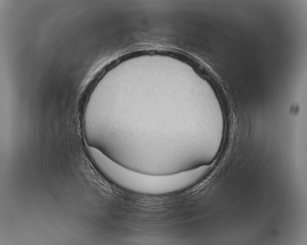X0000114681215200911181223