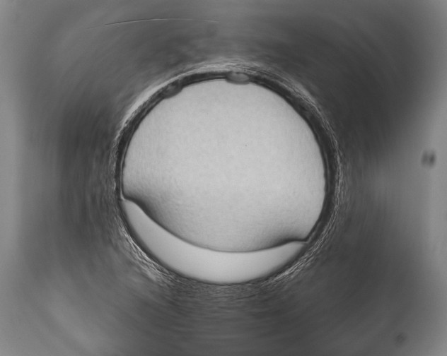 X0000114681216200911181223