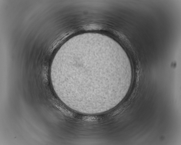 X0000114681217200911181223
