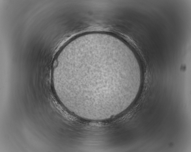 X0000114681220200911181223