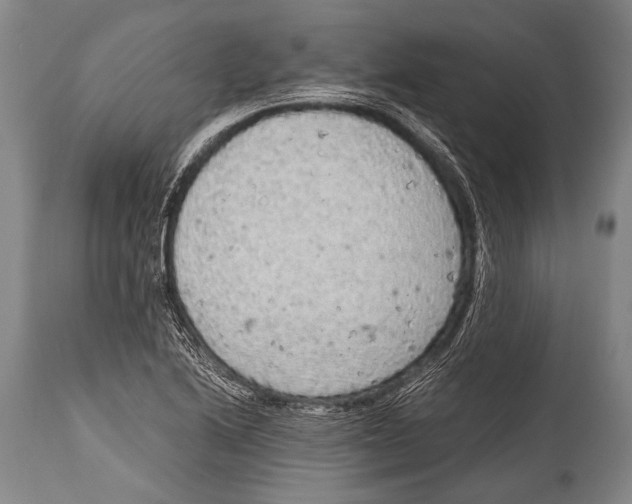 X0000114681222200911181223