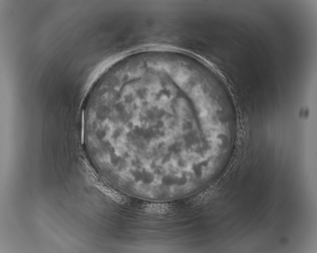 X0000114681223200911181223
