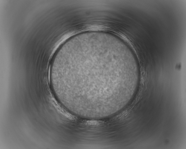 X0000114681227200911181223