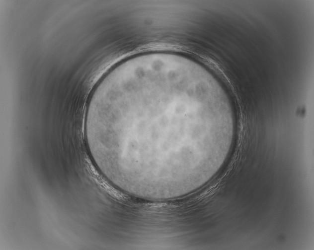 X0000114681228200911181223