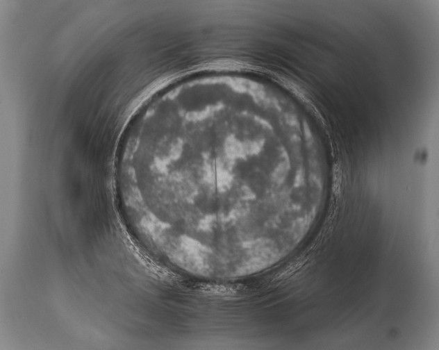 X0000114681229200911181223