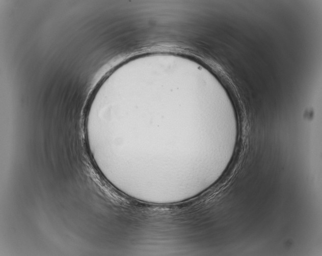 X0000114681230200911181223
