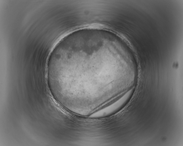 X0000114681232200911181223