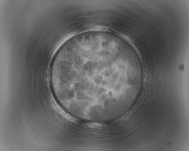 X0000114681235200911181223