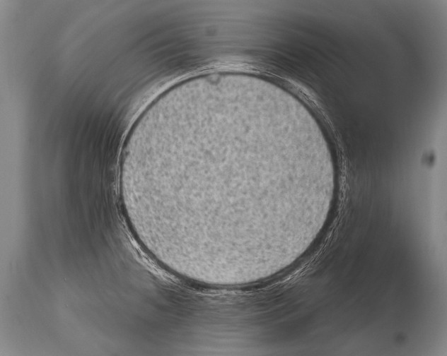 X0000114681236200911181223