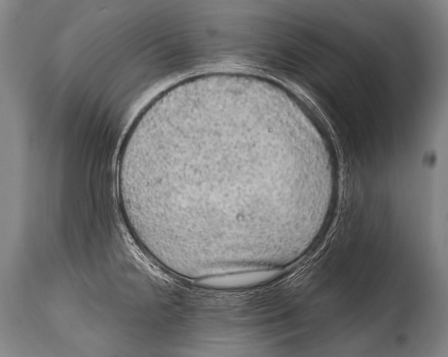 X0000114681238200911181223