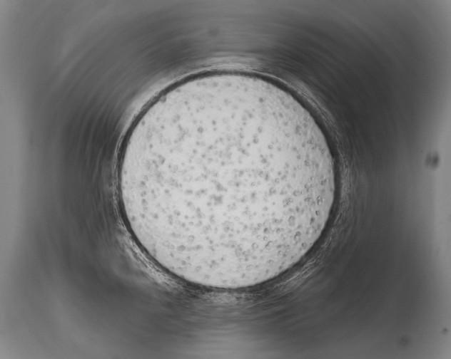 X0000114681240200911181223