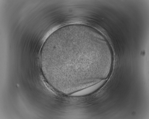 X0000114681242200911181223