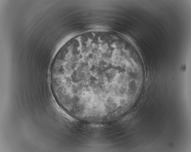 X0000114681243200911181223