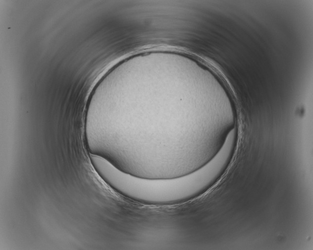 X0000114681244200911181223