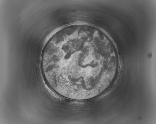 X0000114681245200911181223