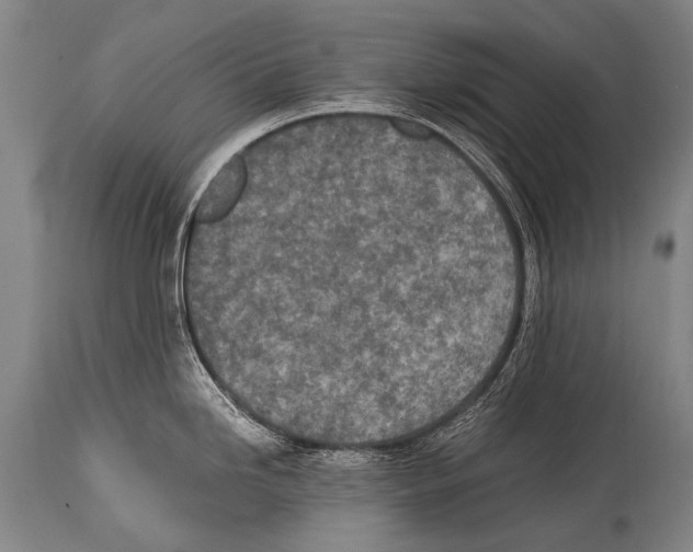 X0000114681246200911181223