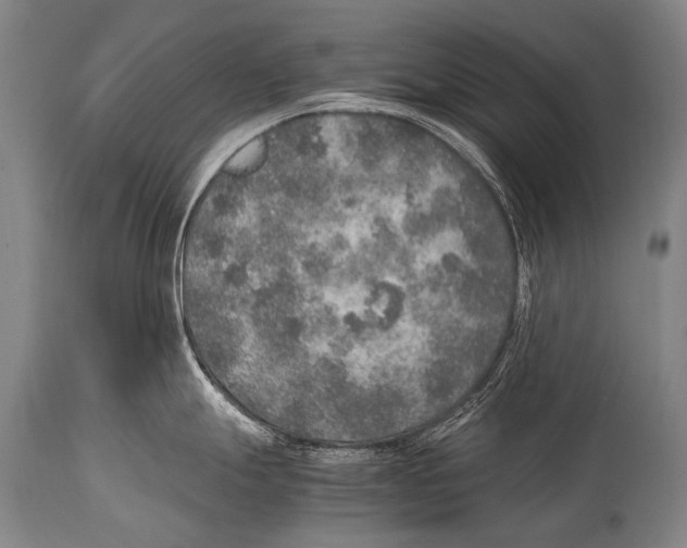 X0000114681247200911181223