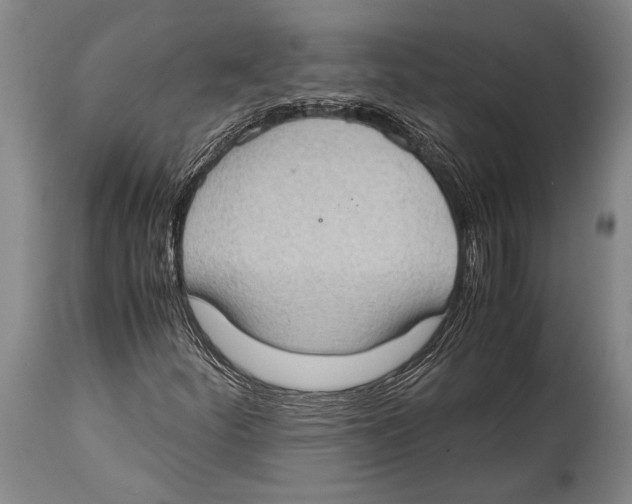 X0000114681252200911181222