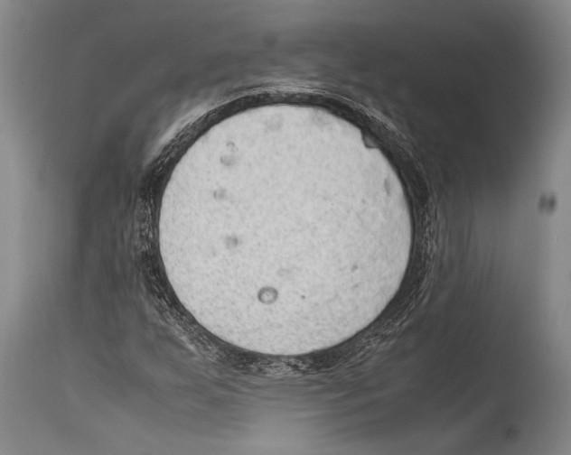 X0000114681255200911181222