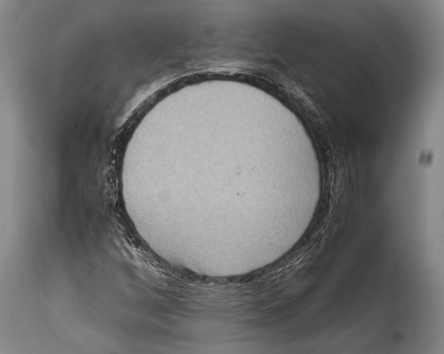 X0000114681256200911181222