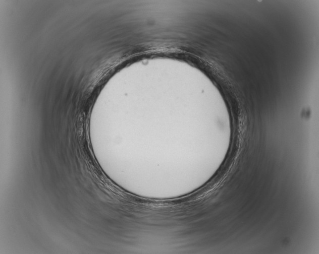 X0000114681257200911181222