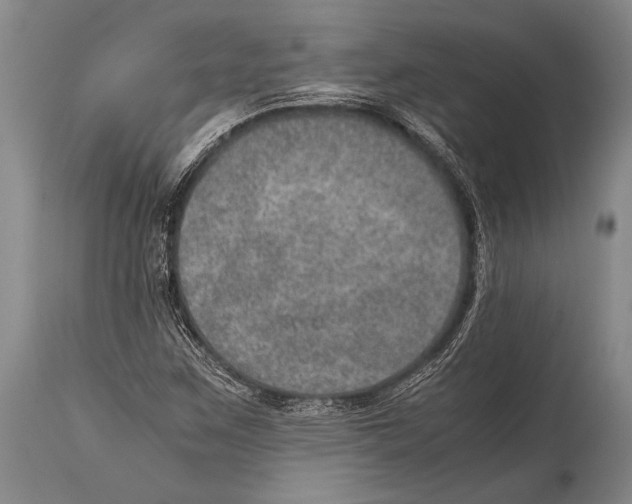 X0000114681259200911181222