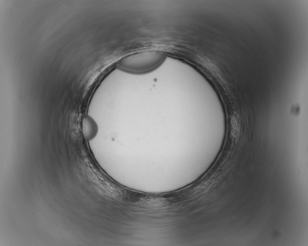 X0000114681260200911181222