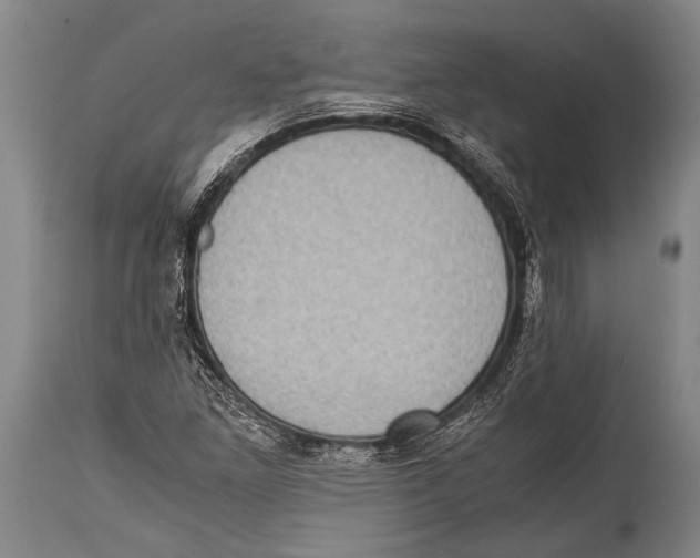 X0000114681261200911181222