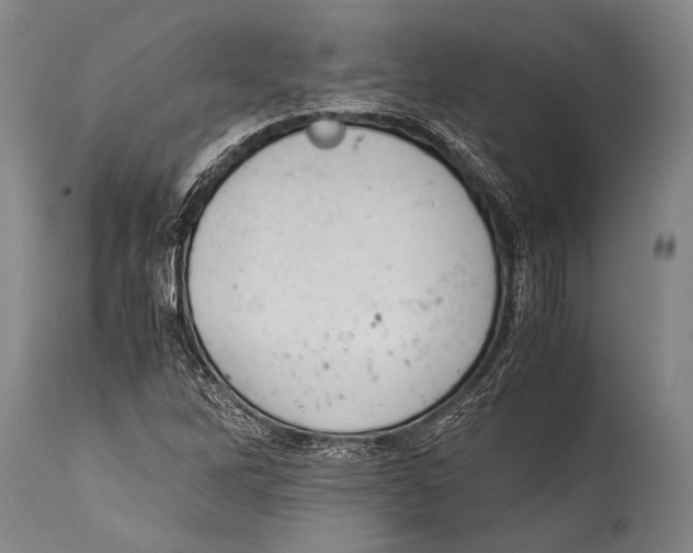 X0000114681262200911181222