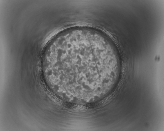 X0000114681263200911181222