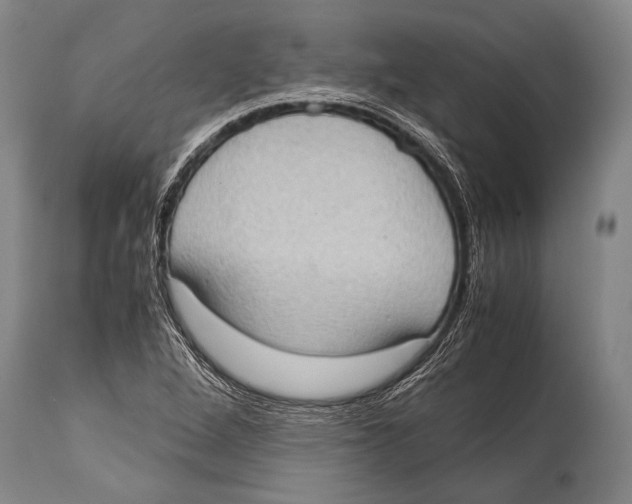 X0000114681264200911181222