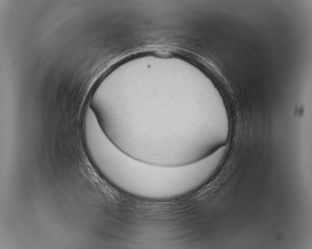 X0000114681268200911181222