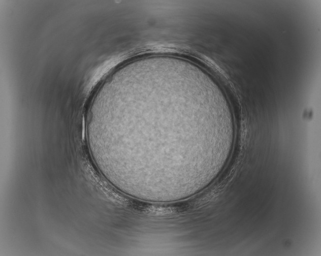 X0000114681269200911181222