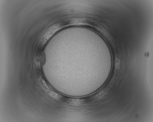X0000114681273200911181222