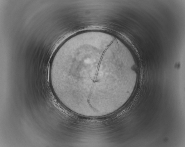 X0000114681276200911181222