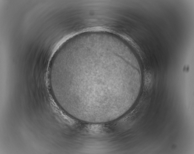 X0000114681278200911181222