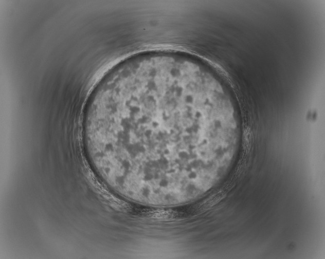 X0000114681279200911181222