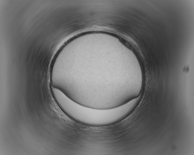 X0000114681280200911181222