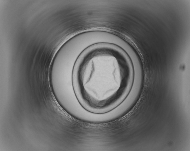 X0000114681284200911181222