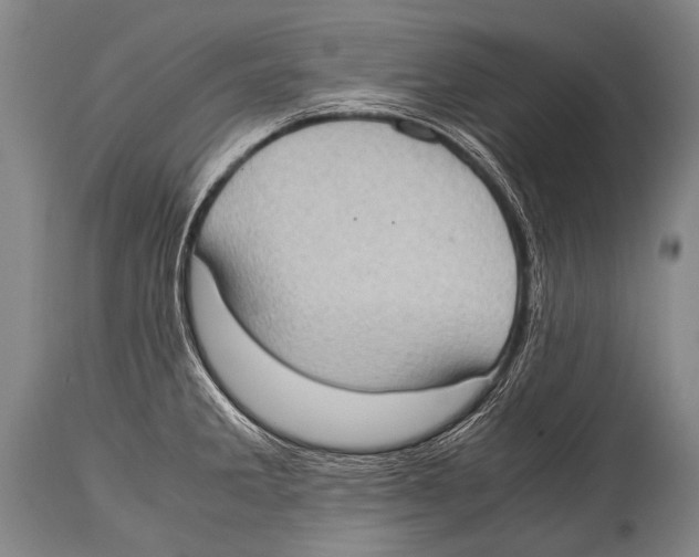 X0000114681285200911181222