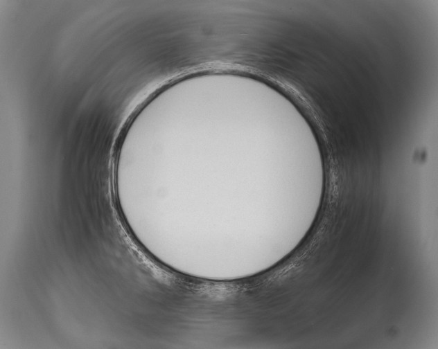 X0000114681286200911181222