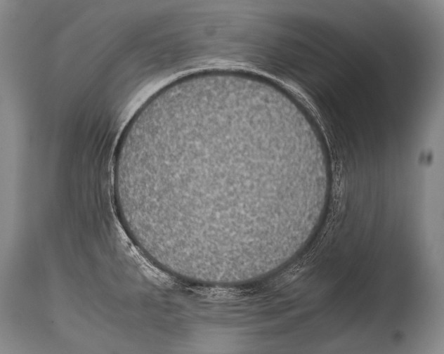 X0000114681287200911181222