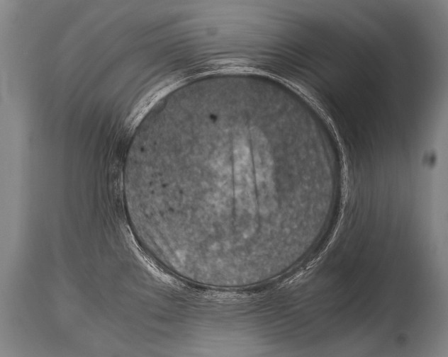 X0000114681289200911181222