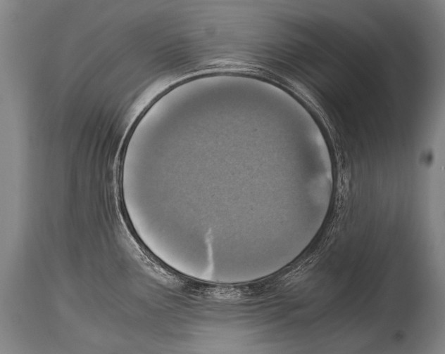 X0000114681291200911181222