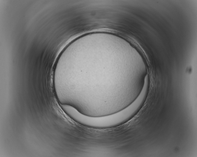 X0000114681292200911181222