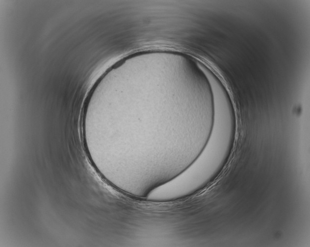 X0000114681293200911181222