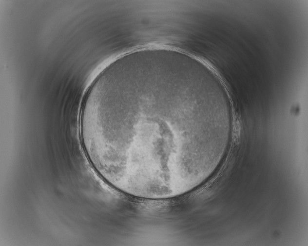 X0000114681294200911181222